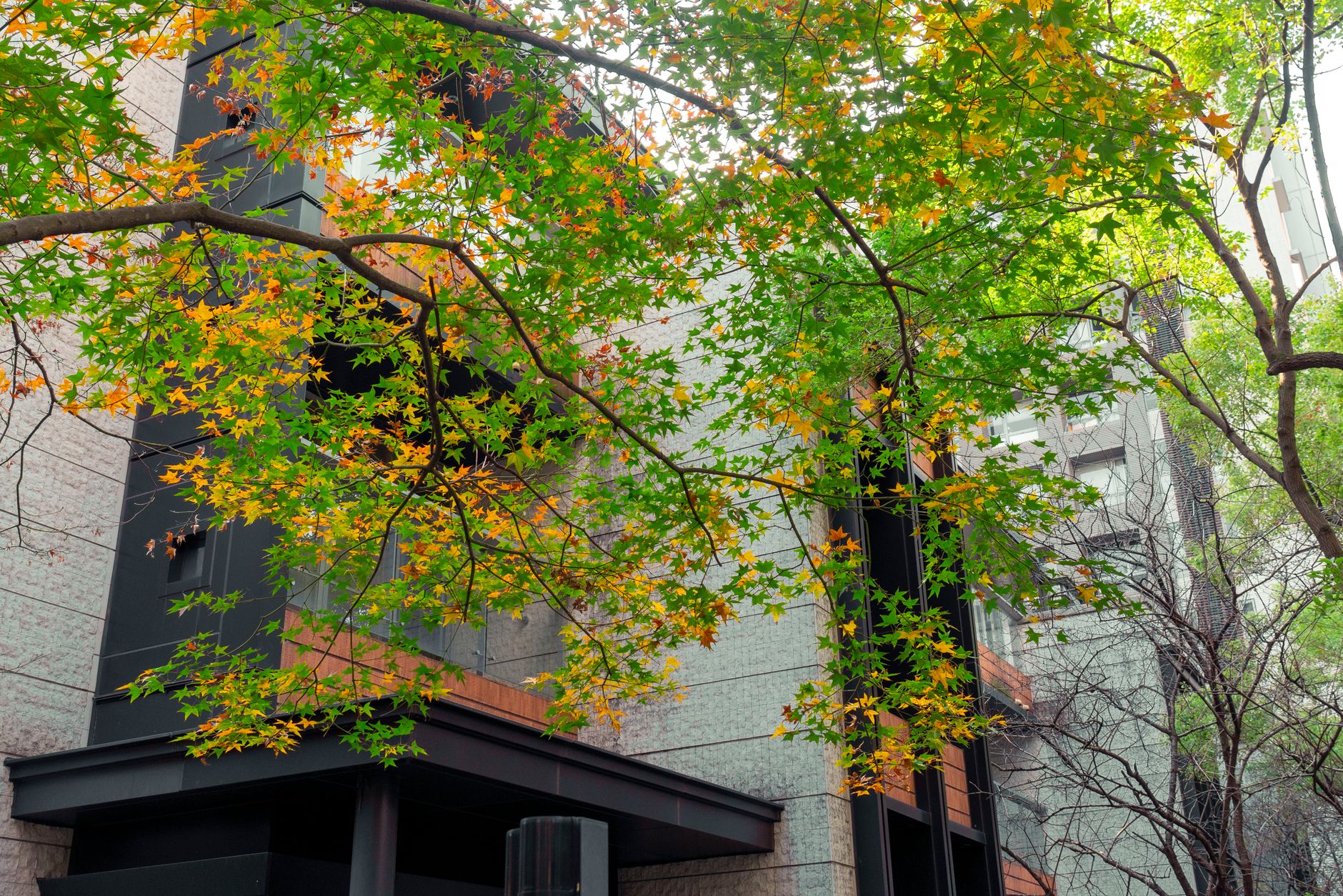 Indoor air quality pollutants and health risk statistics
